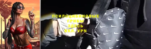 ГАЛЛЮЦИНОГЕННЫЕ ГРИБЫ Баксан