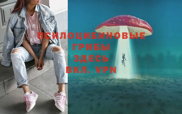 Альфа ПВП Балабаново