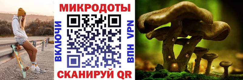 Галлюциногенные грибы GOLDEN TEACHER  купить   MEGA   Бахчисарай 